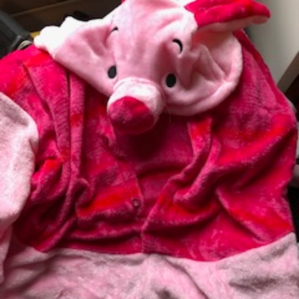 Piglet Custom